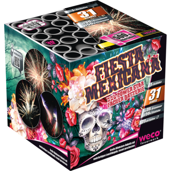 Fiesta Mexicana